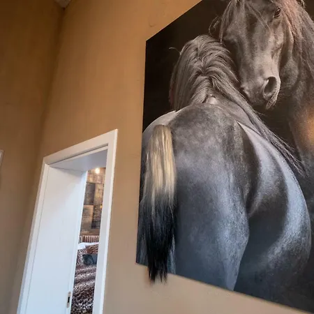 2-bedroom Elegant In Mediterranean Style Appartamento *