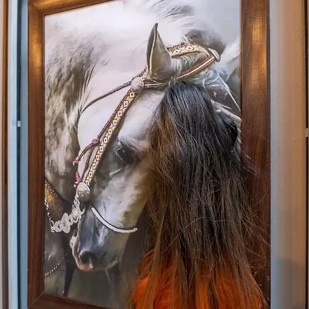 2-bedroom Elegant In Mediterranean Style *